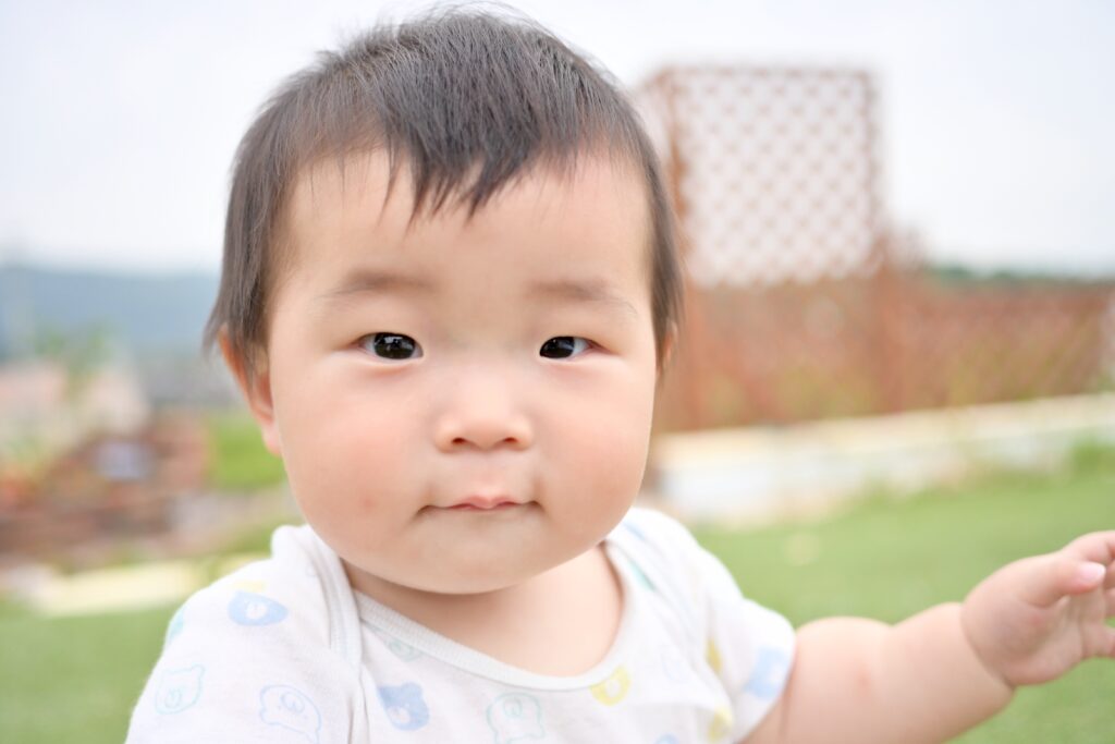 現在の画像に代替テキストがありません。ファイル名: DSC_8413-scaled.jpeg